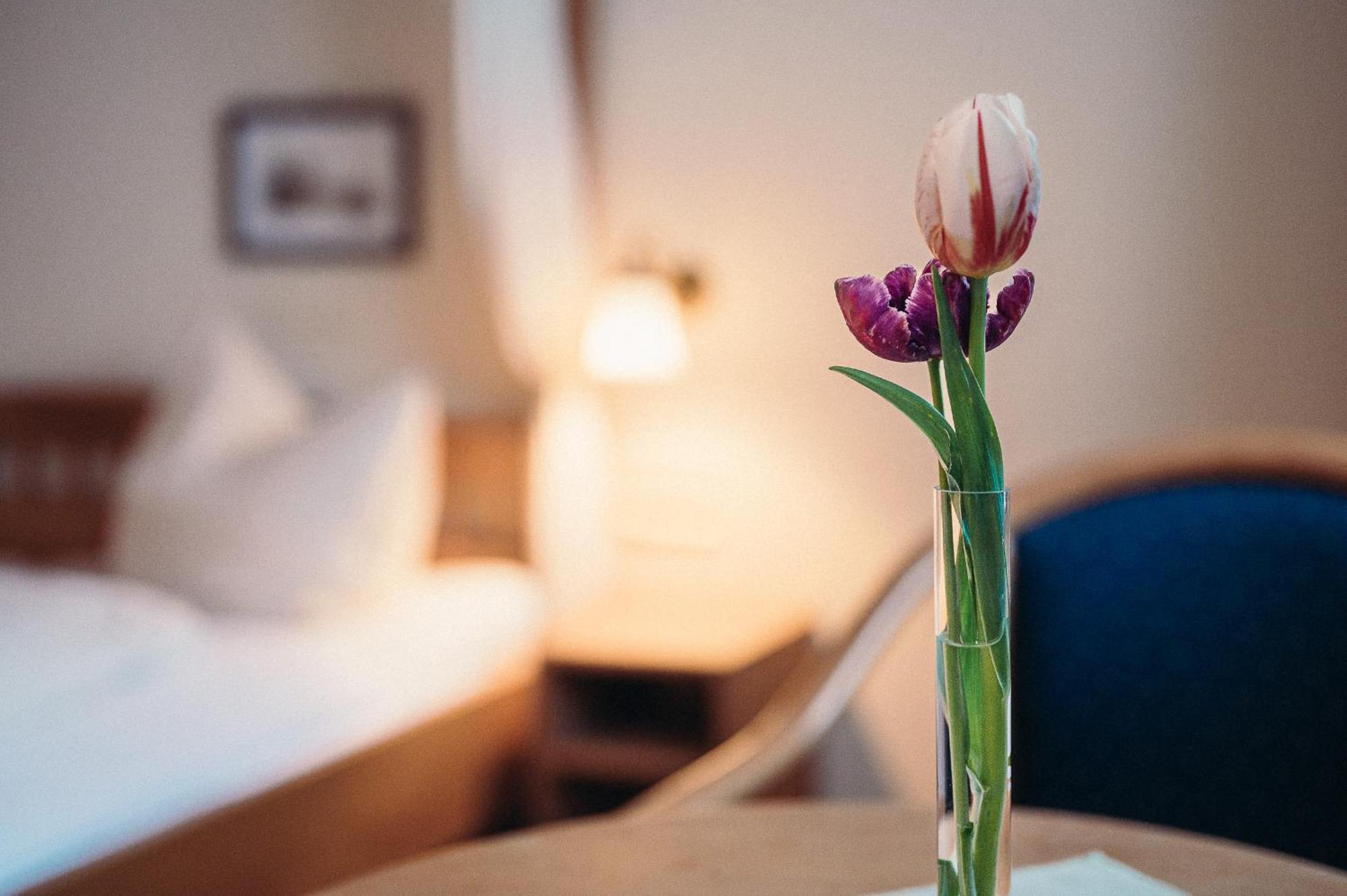 Hotel Hofgut Himmelreich Kirchzarten Esterno foto